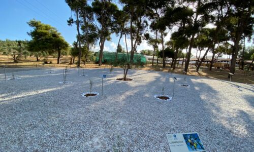 WhatsApp Image 2022-07-19 at 07.55.17