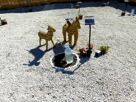 Resized_Enhanced_DSCN9572