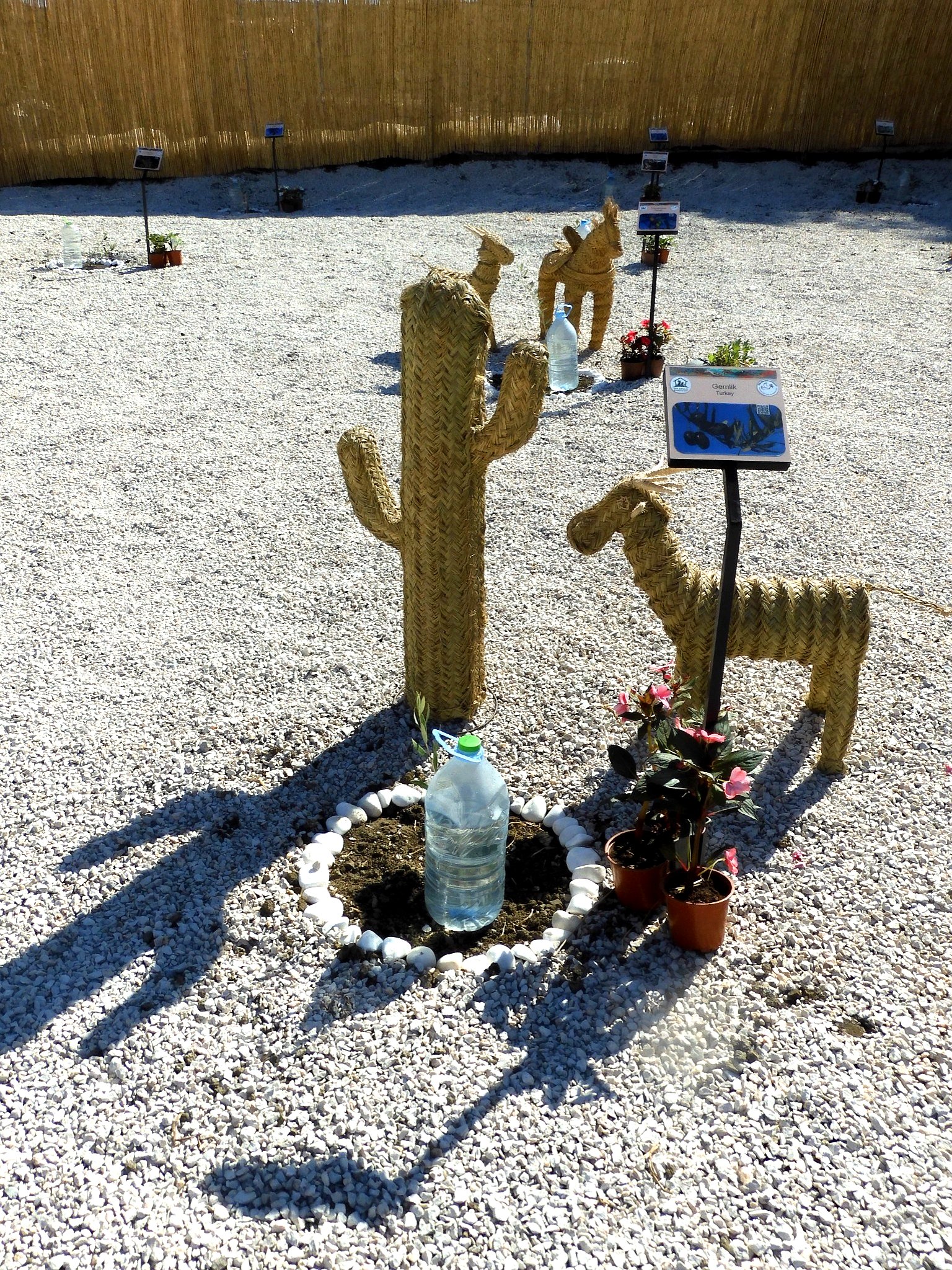 Jardin de la Paix à Tanger