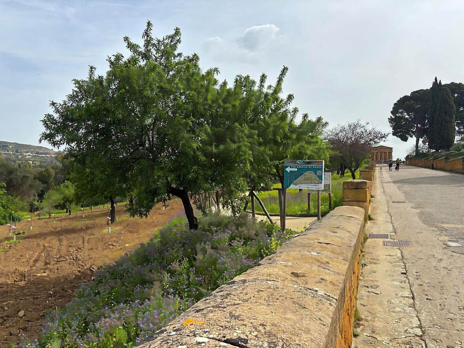 giardino-pace-via-sacra-valle-templi-agrigento giardino-pace-via-sacra-valle-templi-agrigento.jpg