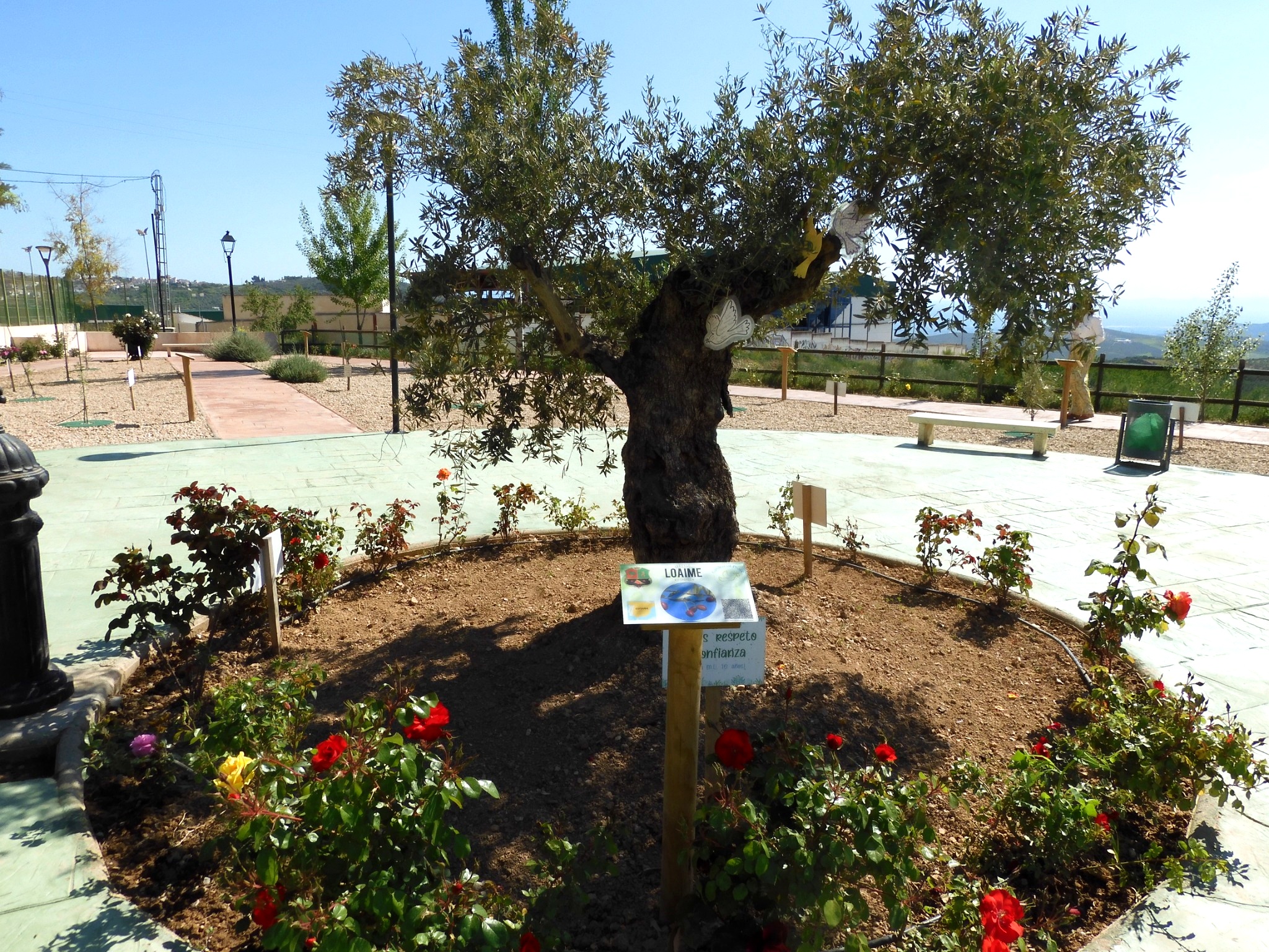 Jardin de la Paix à Cogollos, avec un Loaime au centre