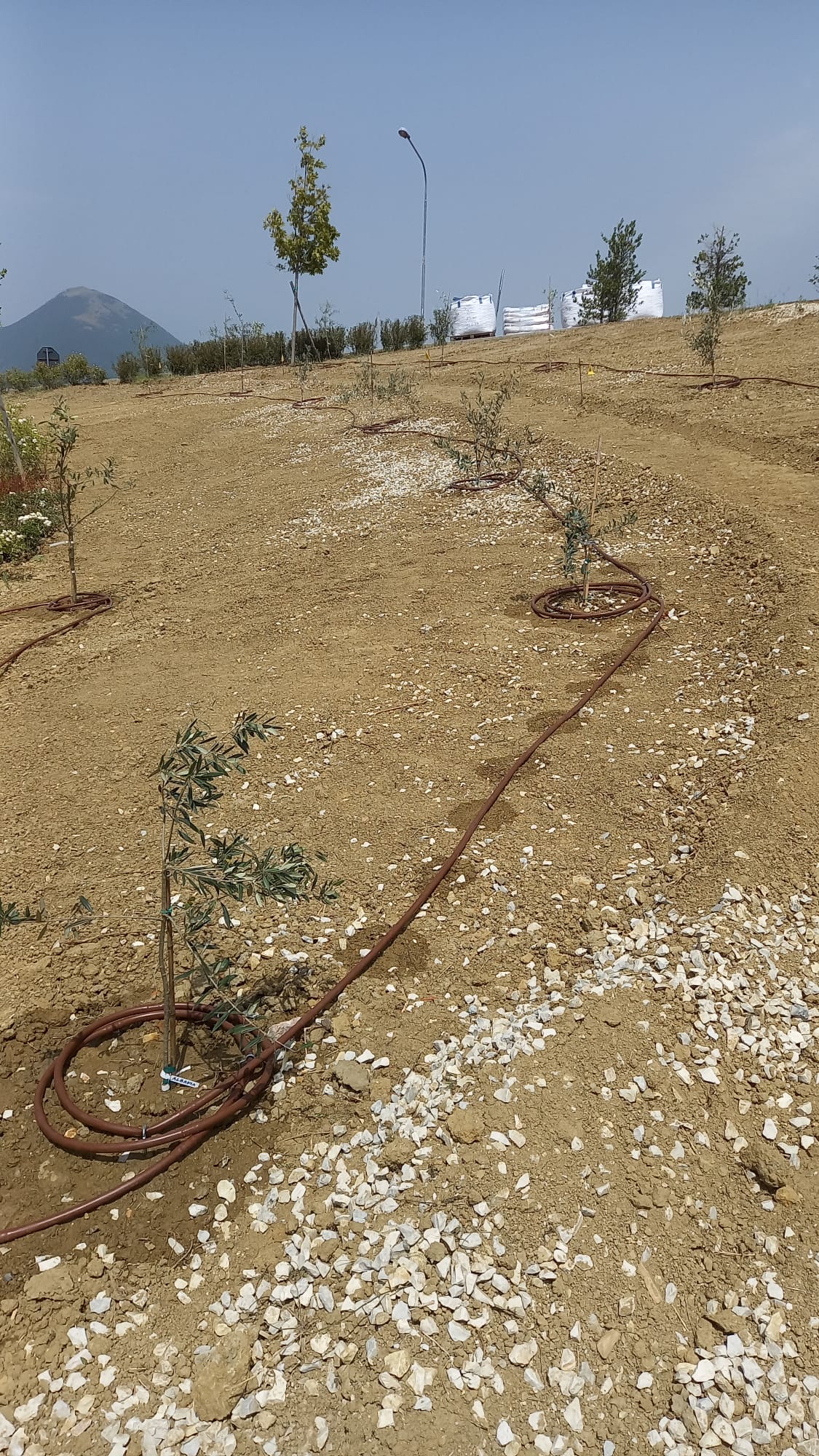 Préparation d’un Jardin de la Paix