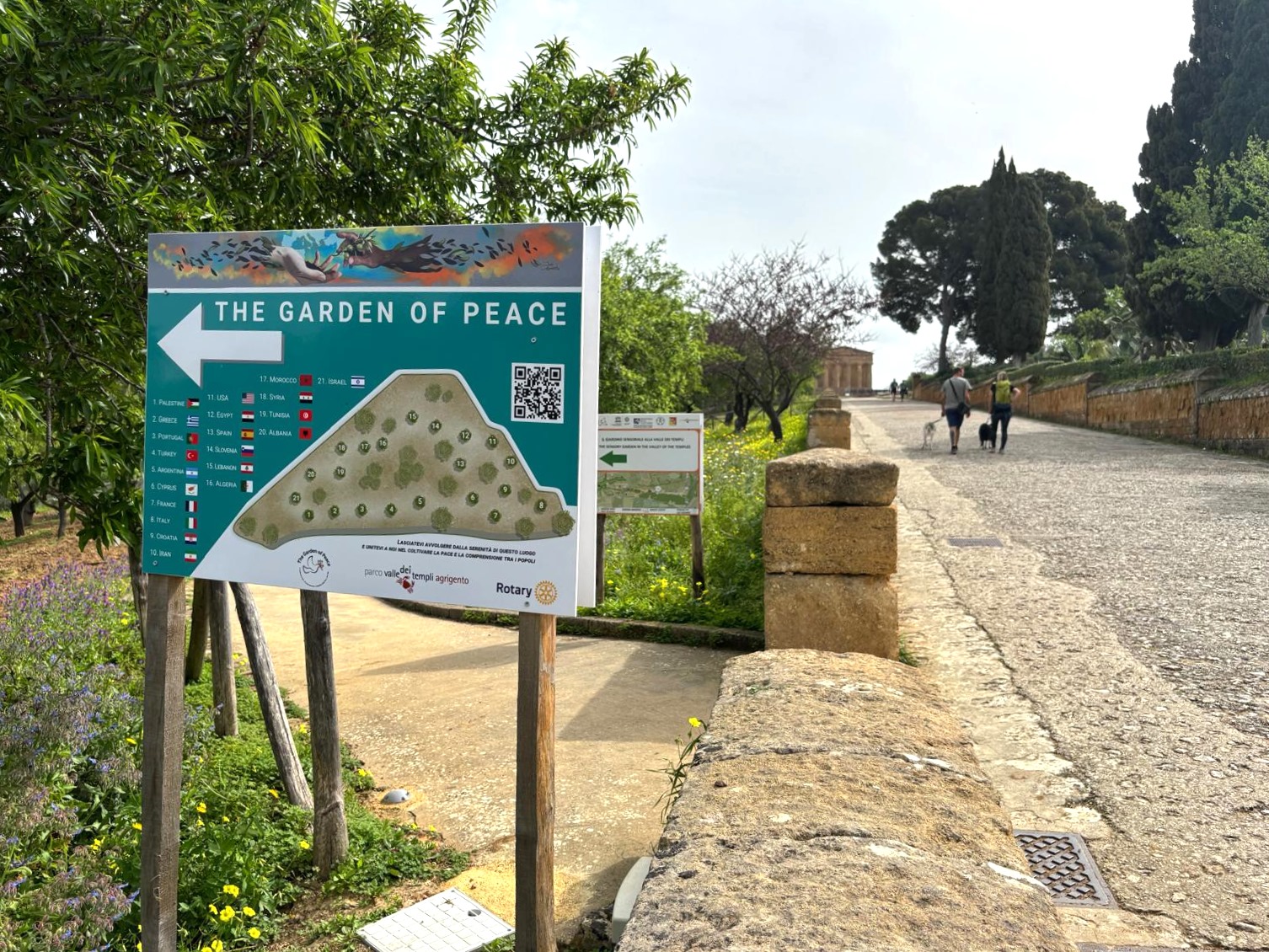 Un Jardin de la Paix avec les variétés d’olivier au cœur du paysage