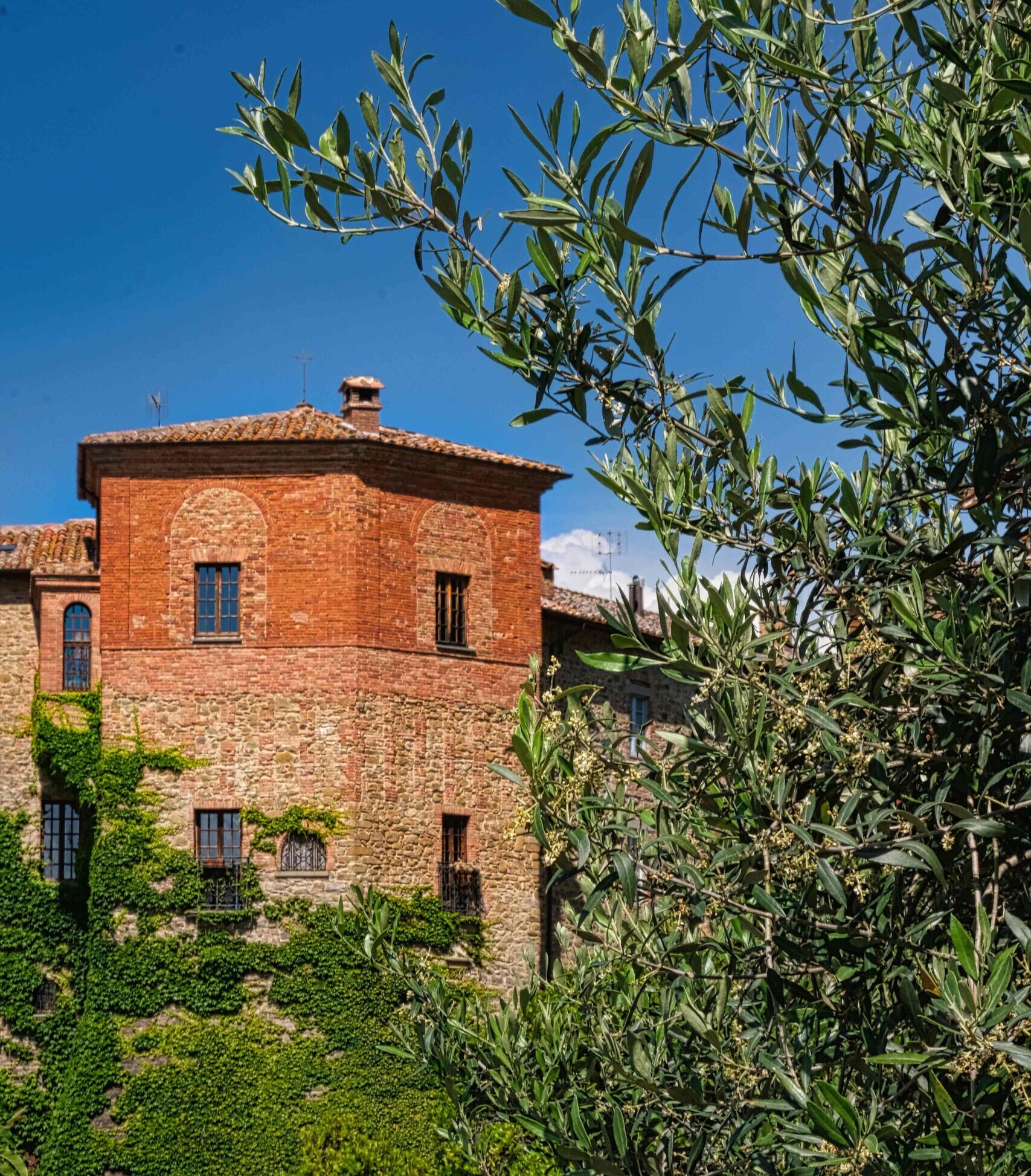 Le bourg de Paciano et son paysage