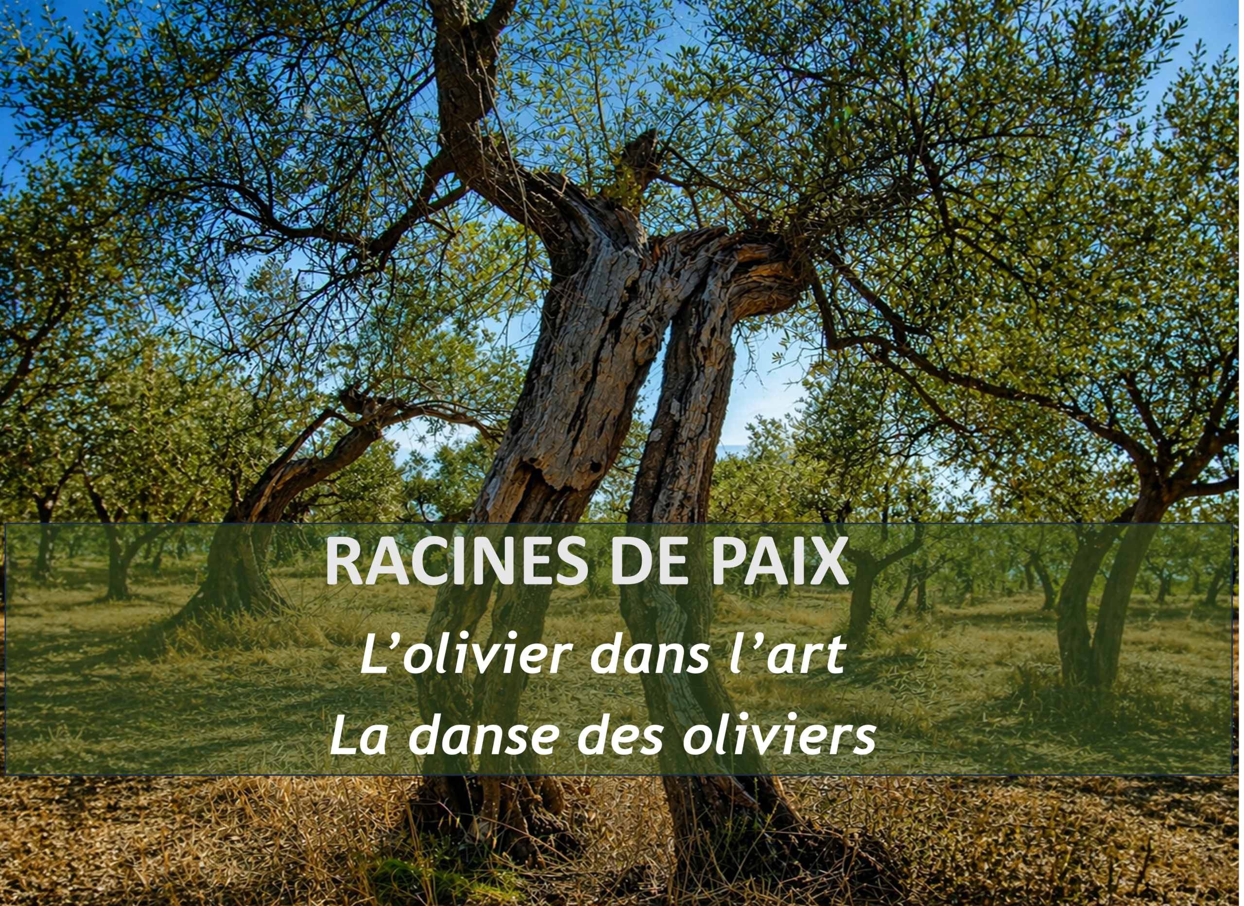 Olivier dans l’art représenté dans un paysage méditerranéen peint
