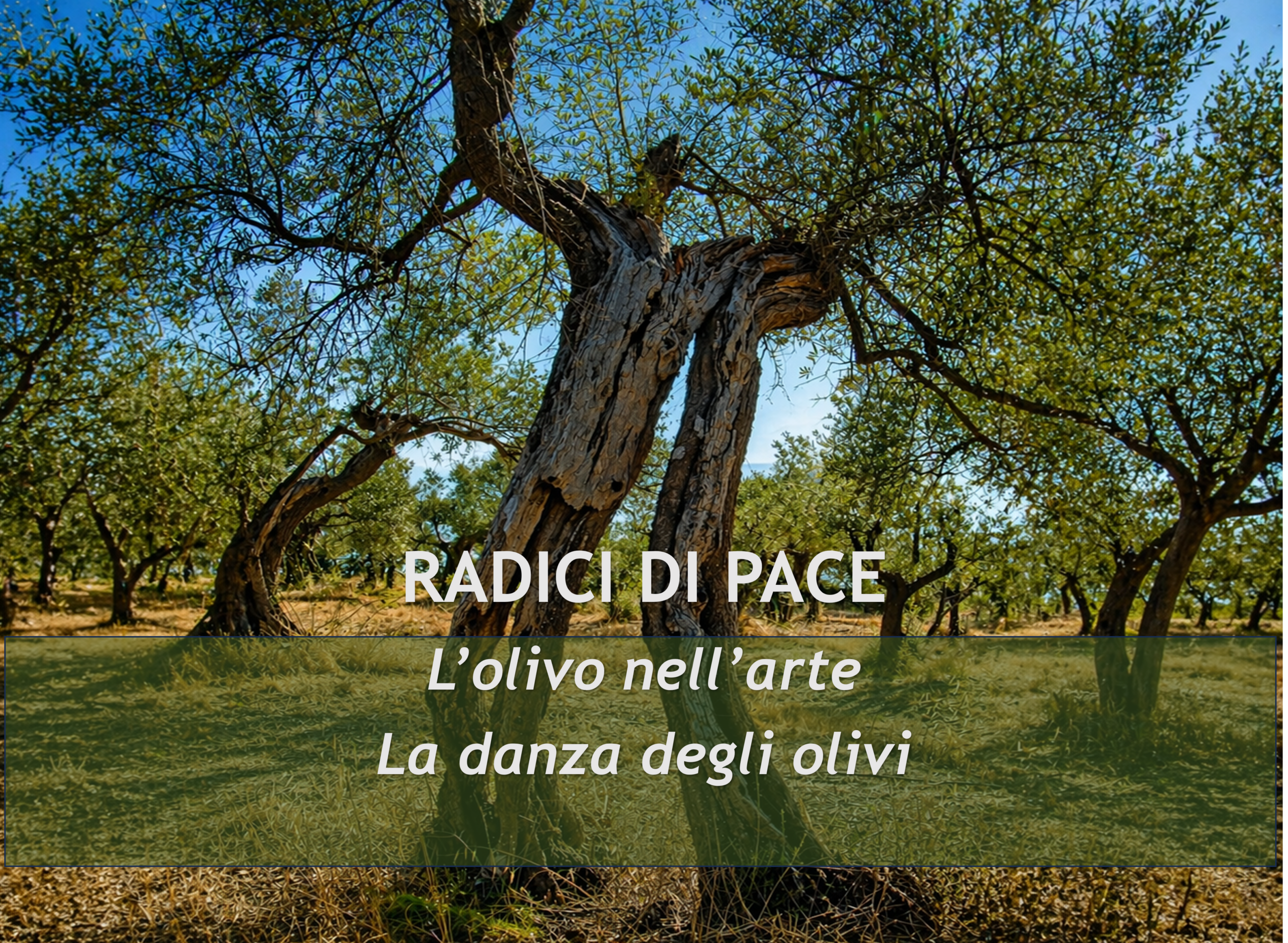 Olivo nell’arte rappresentato in un paesaggio mediterraneo dipinto