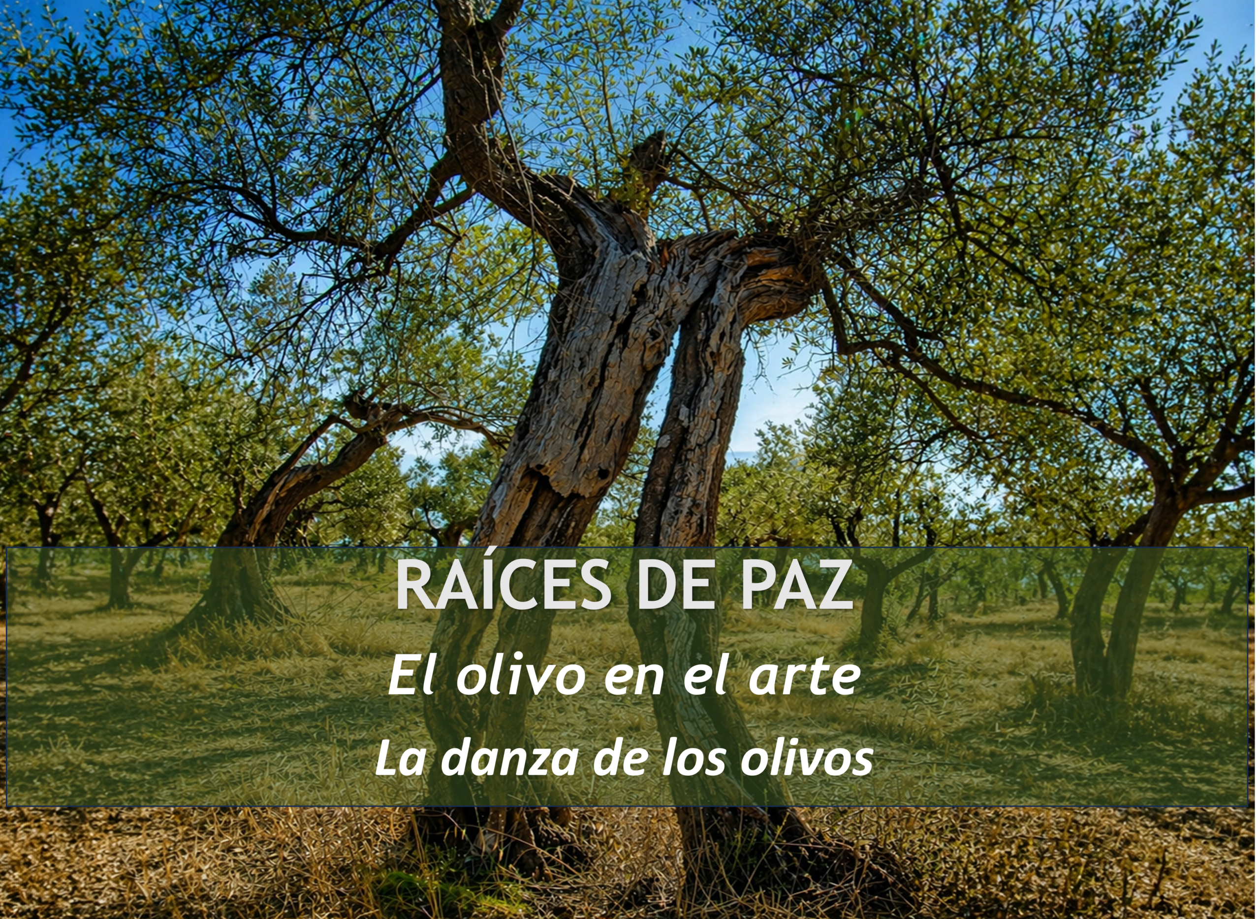 Olivo en el arte representado en un paisaje mediterráneo pintado