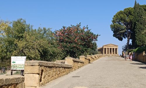 valle dei templi 7