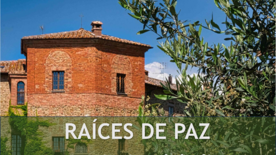 Paisajes del olivo modelados por siglos de cultivo