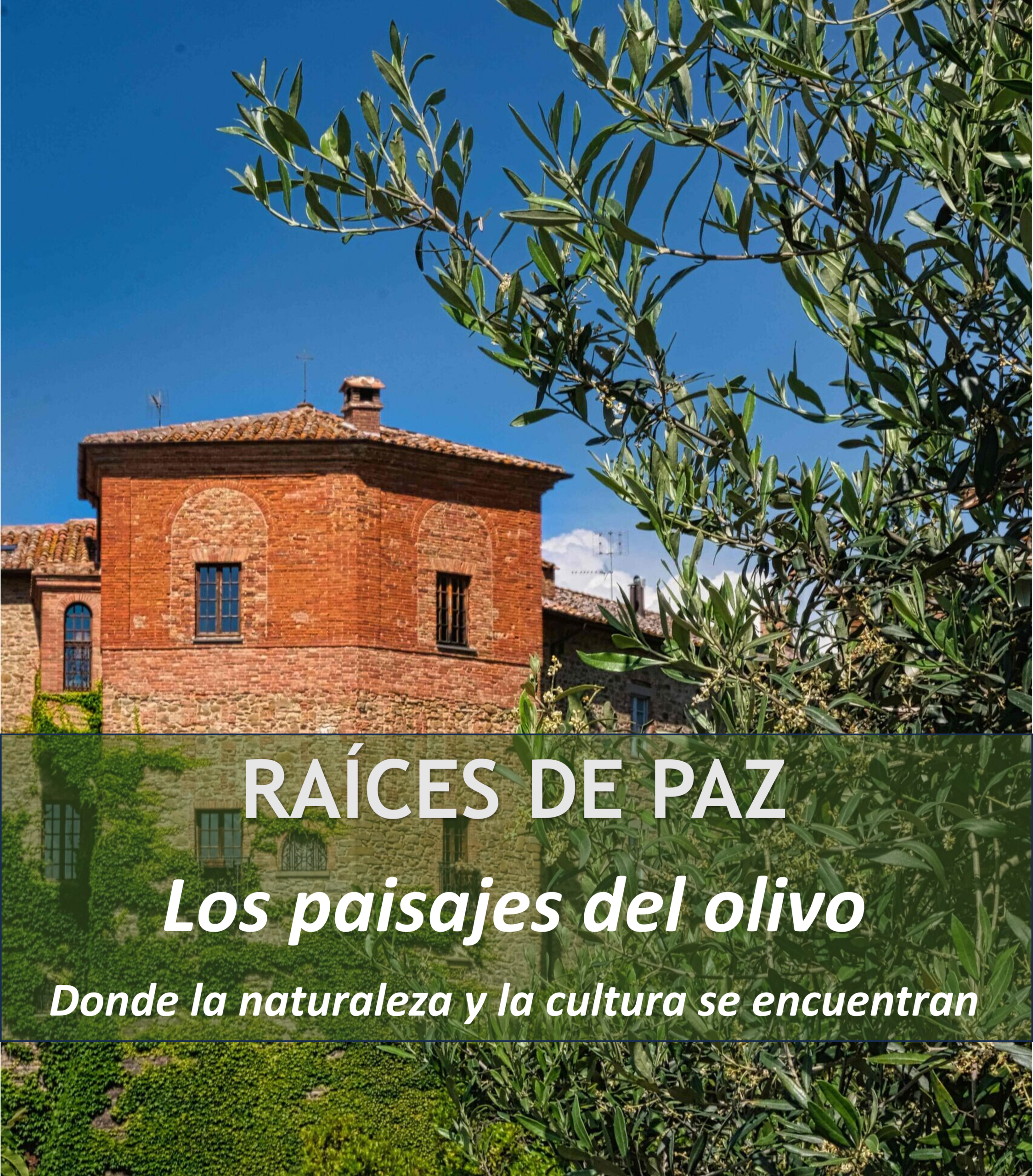 Paisajes del olivo modelados por siglos de cultivo